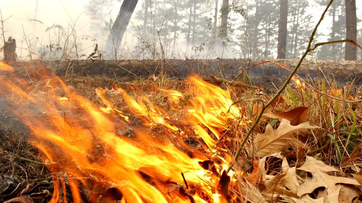 Outdoor Burn Ordinance